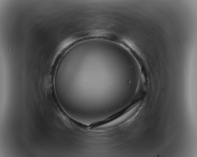 X0000086021164200703301026