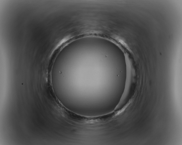 X0000086021165200703301026
