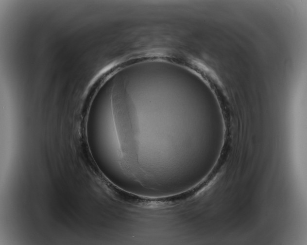X0000086021166200703301026
