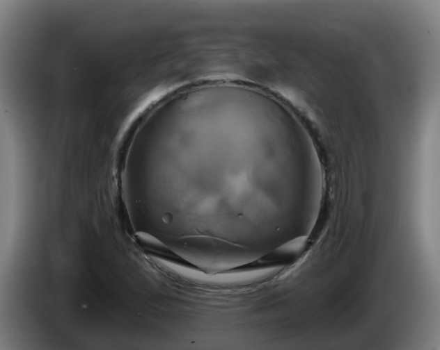 X0000086021167200703301026