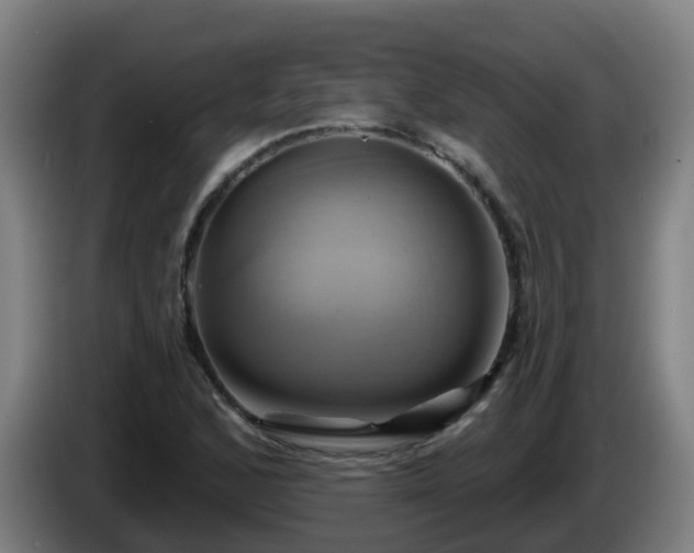 X0000086021168200703301026