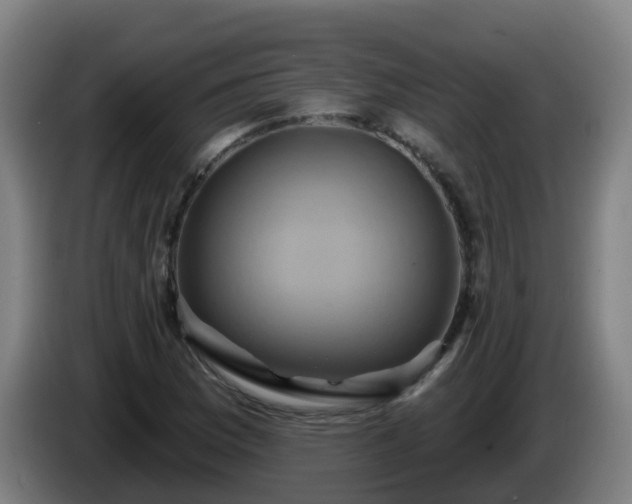 X0000086021169200703301026