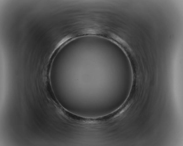 X0000086021170200703301026