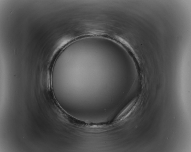 X0000086021171200703301026
