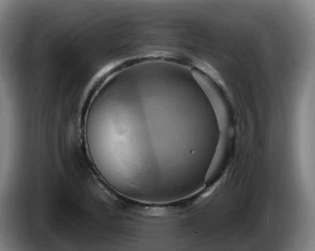 X0000086021172200703301026