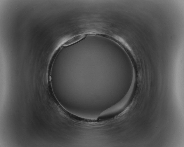 X0000086021173200703301026
