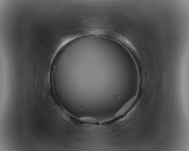 X0000086021174200703301026