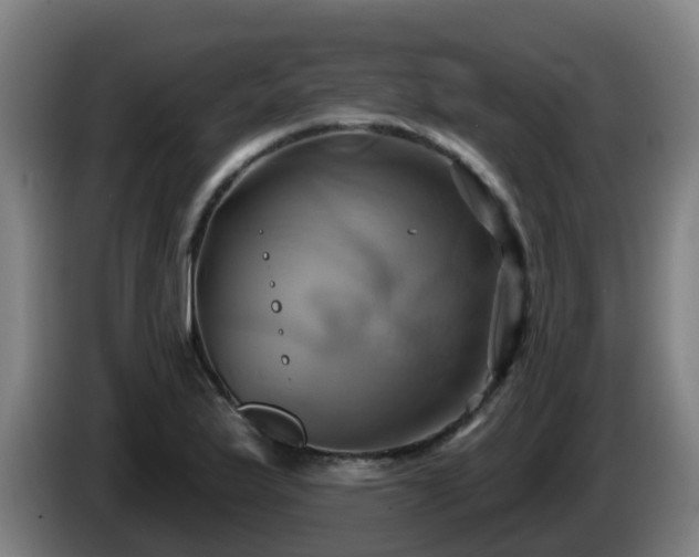 X0000086021175200703301026