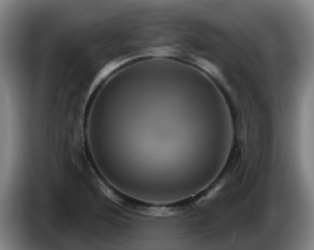 X0000086021176200703301026