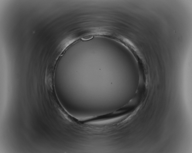 X0000086021177200703301026