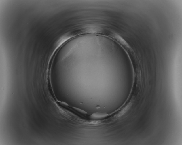 X0000086021178200703301026
