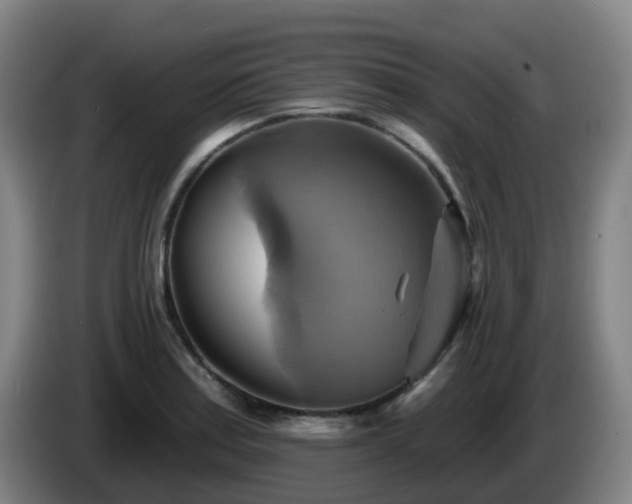 X0000086021179200703301026