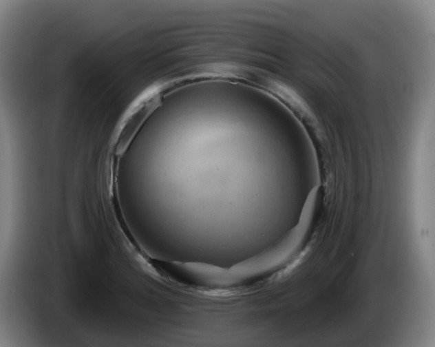 X0000086021180200703301026