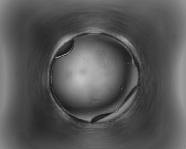 X0000086021183200703301026