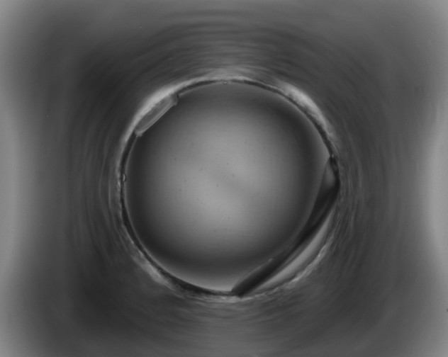 X0000086021184200703301026