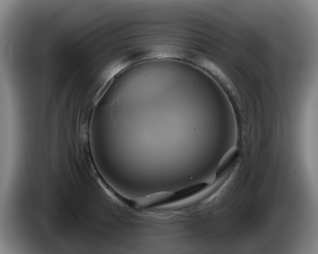 X0000086021185200703301026
