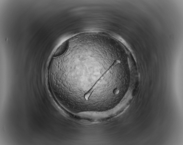 X0000086021187200703301026