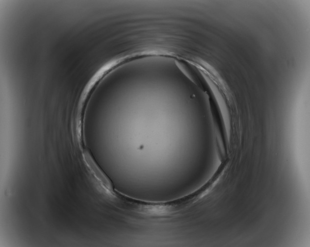 X0000086021188200703301026