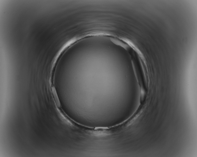 X0000086021189200703301025