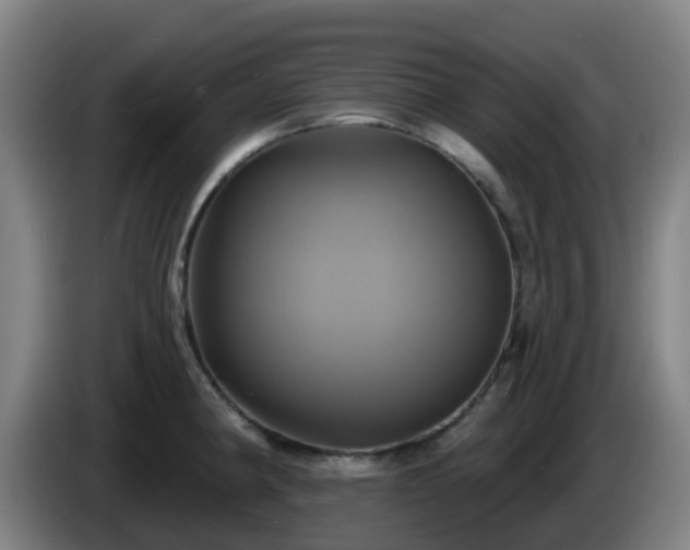 X0000086021190200703301025