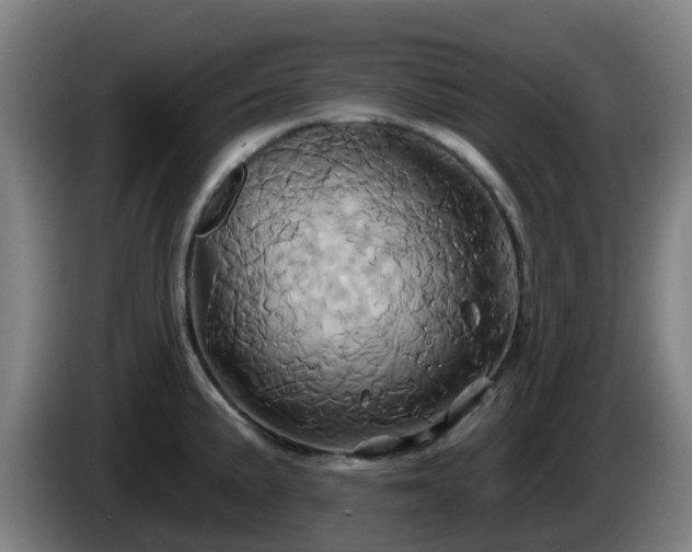 X0000086021191200703301025