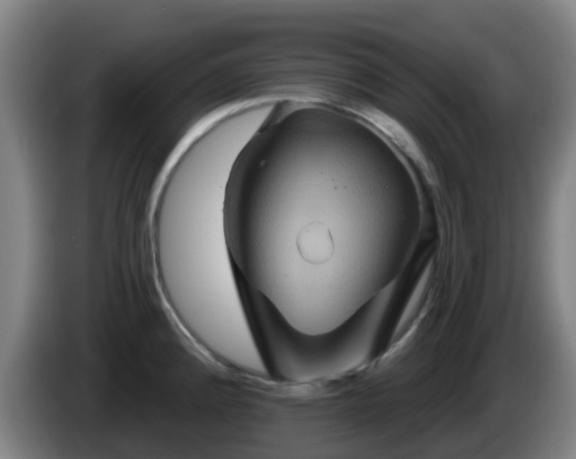 X0000086021192200703301025