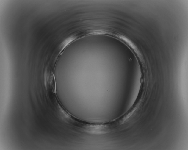 X0000086021193200703301025