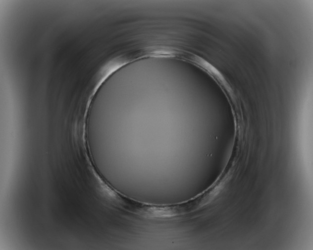 X0000086021194200703301025