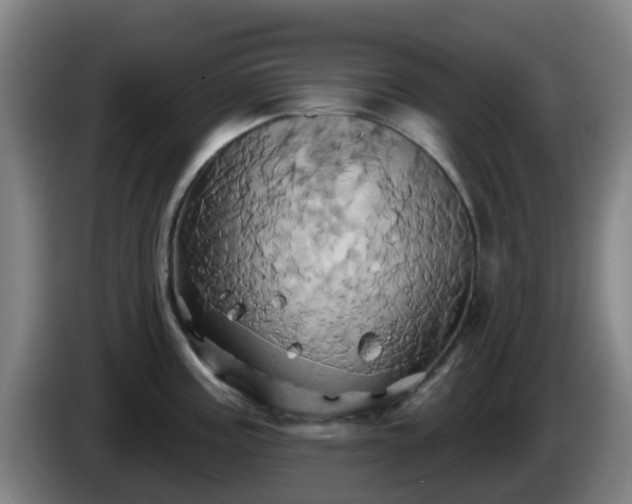 X0000086021195200703301025