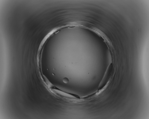 X0000086021196200703301025