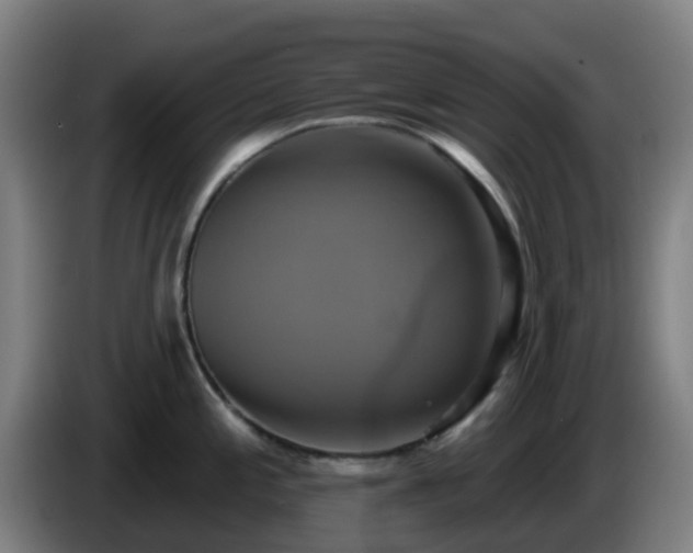 X0000086021197200703301025