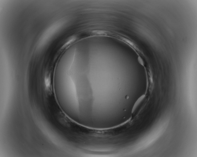X0000086021198200703301025