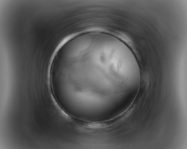 X0000086021199200703301025