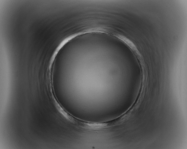 X0000086021200200703301025