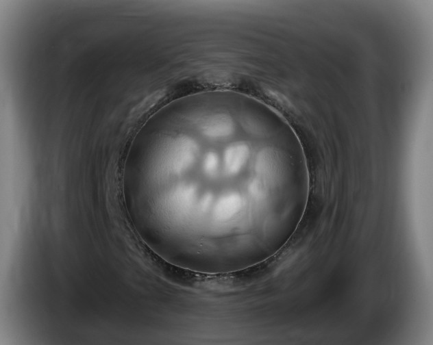 X0000086021201200703301025