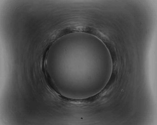 X0000086021202200703301025