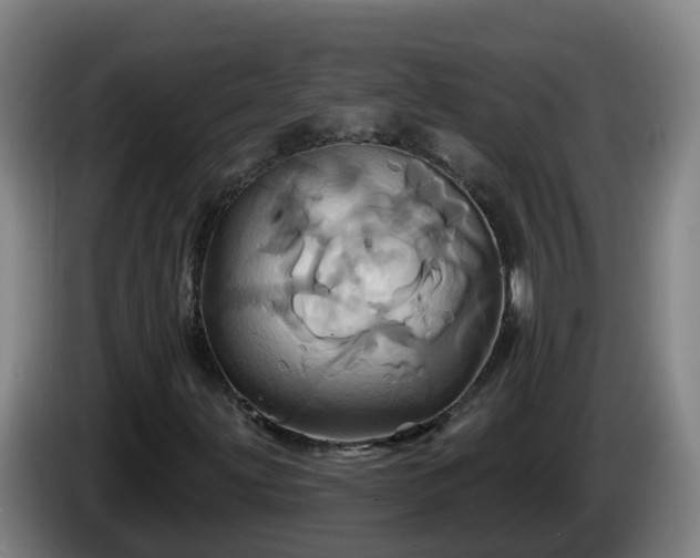 X0000086021203200703301025