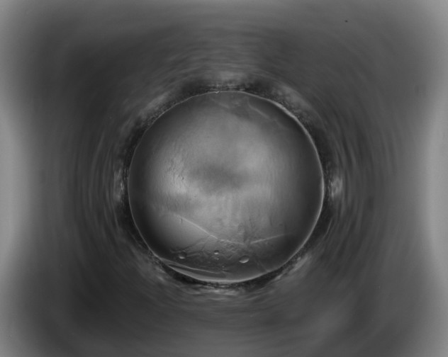 X0000086021204200703301025