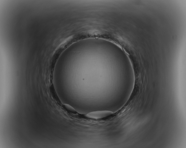 X0000086021205200703301025