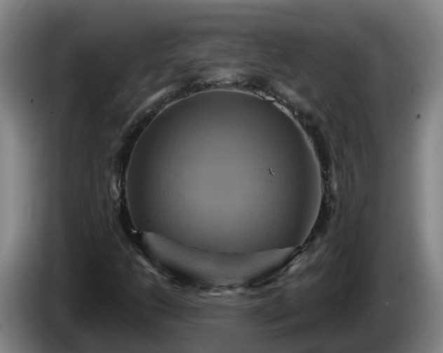 X0000086021206200703301025