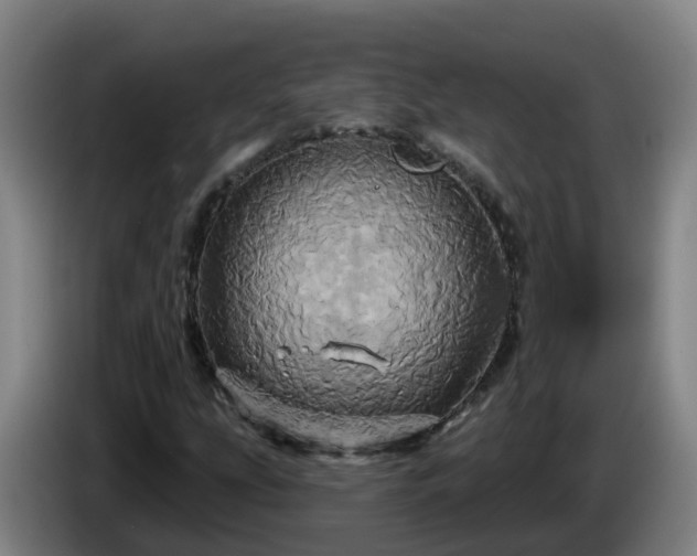 X0000086021207200703301025