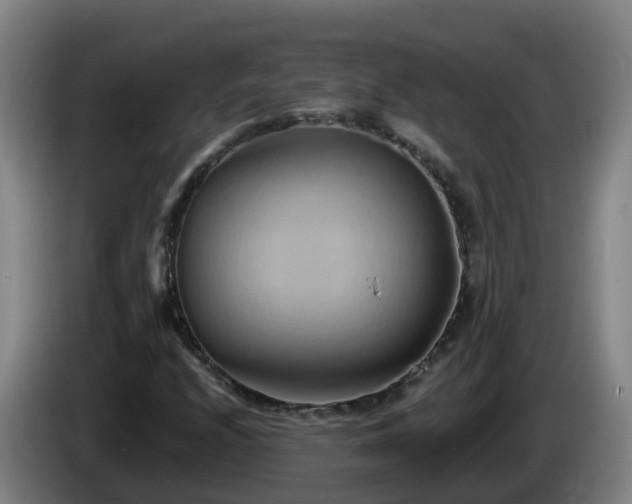 X0000086021208200703301025