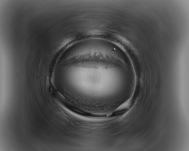 X0000086021209200703301025