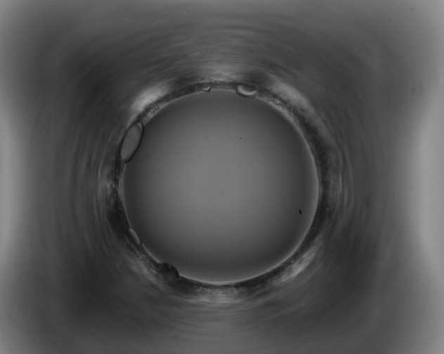 X0000086021210200703301025