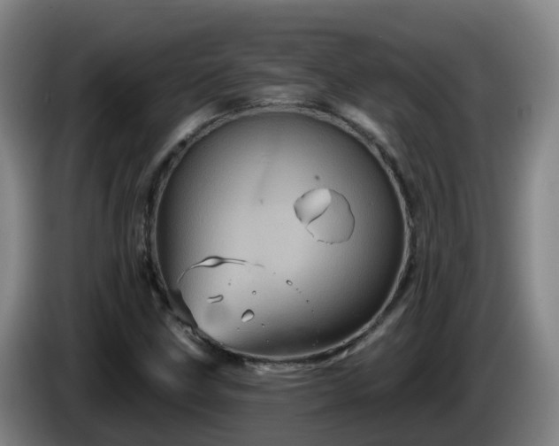 X0000086021211200703301025