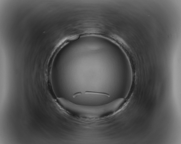 X0000086021212200703301025