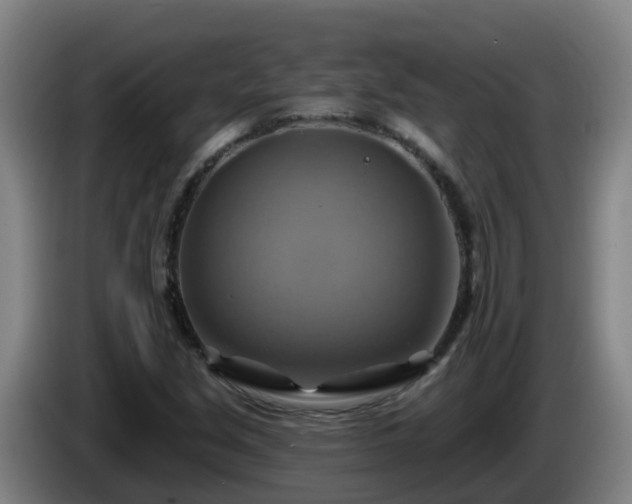 X0000086021213200703301025