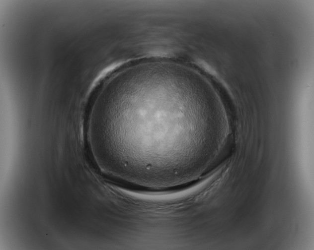 X0000086021214200703301025