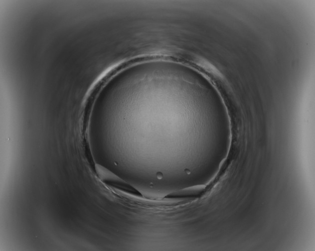 X0000086021216200703301025