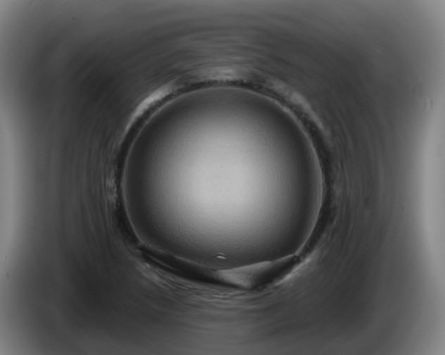 X0000086021218200703301025